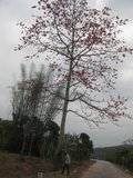 th_IMG_1552.jpg
