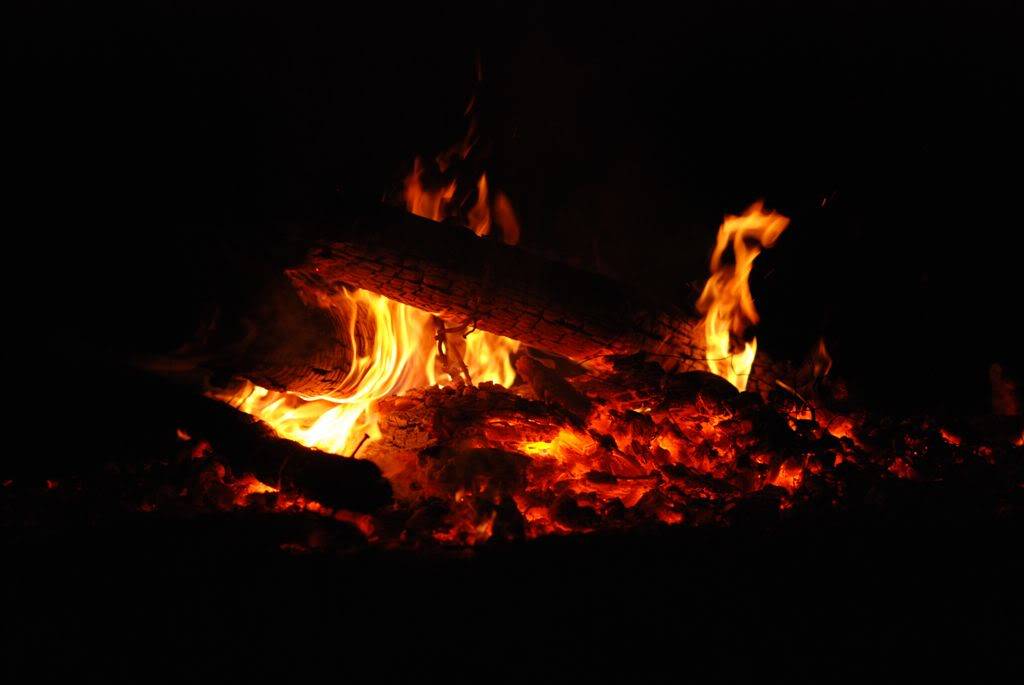 DSC_9940.jpg