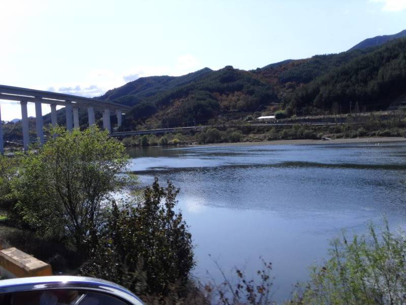 SDC10016.jpg