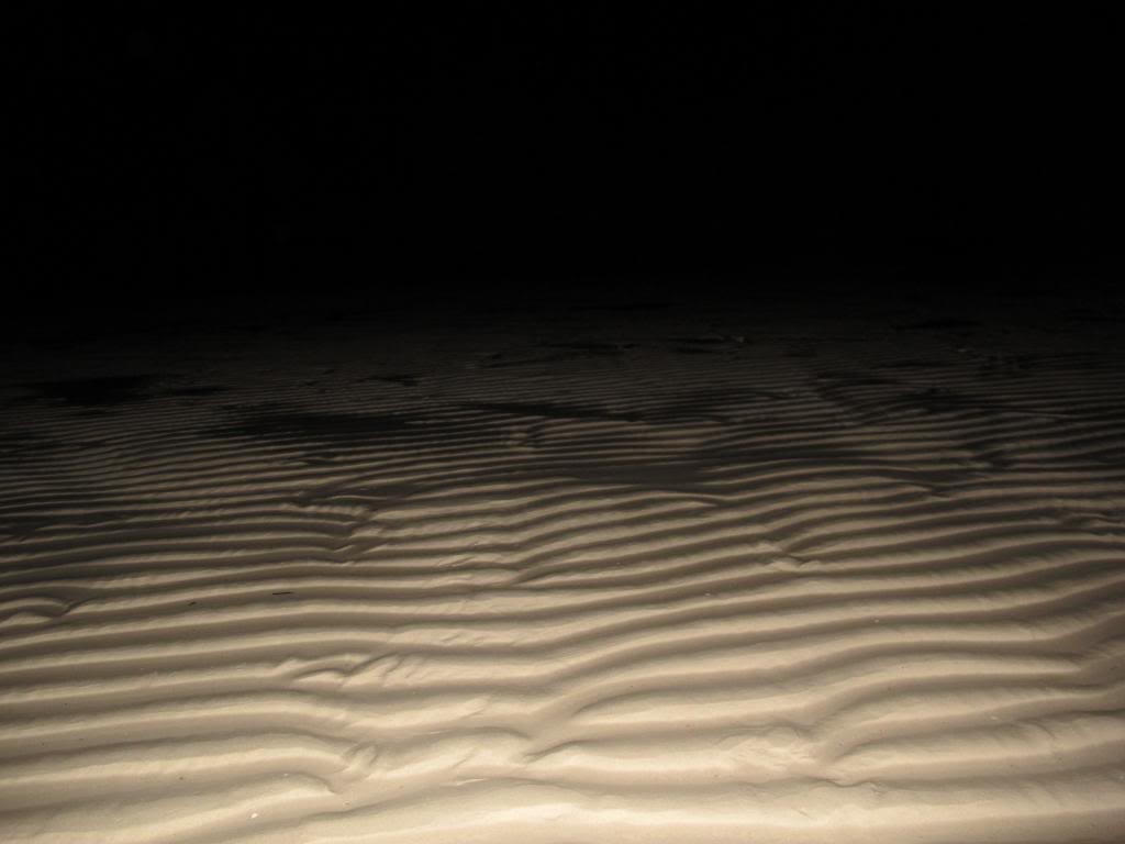 IMG_8678_zpsa837c807.jpg