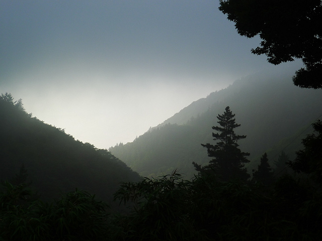 7975797019_1935948d98_z.jpg