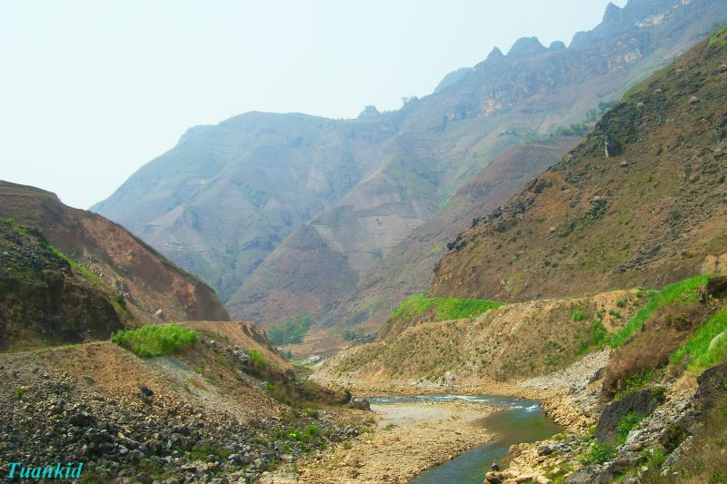 SDC16540.jpg