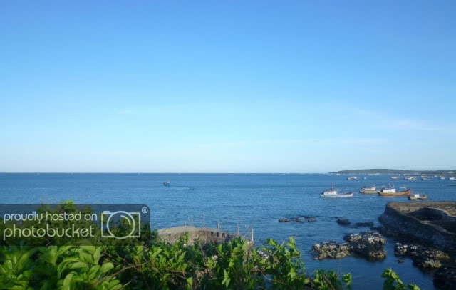 P1040729_resize.jpg