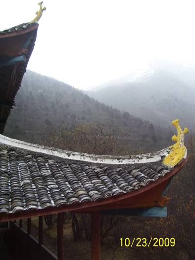 hoanglong103.jpg
