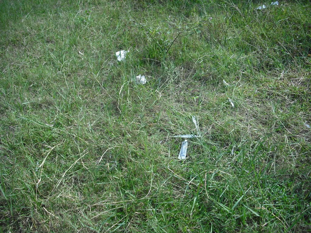 DSCF6789.jpg
