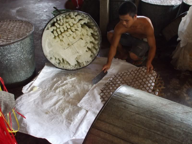 DSCF7290.jpg