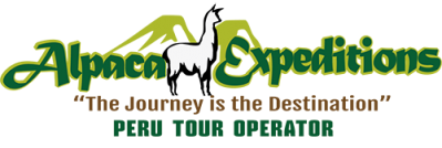 logo-alpaca-e1465309351411.png