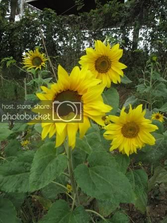 IMG_5757.jpg