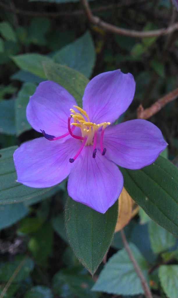 IMAG0143.jpg