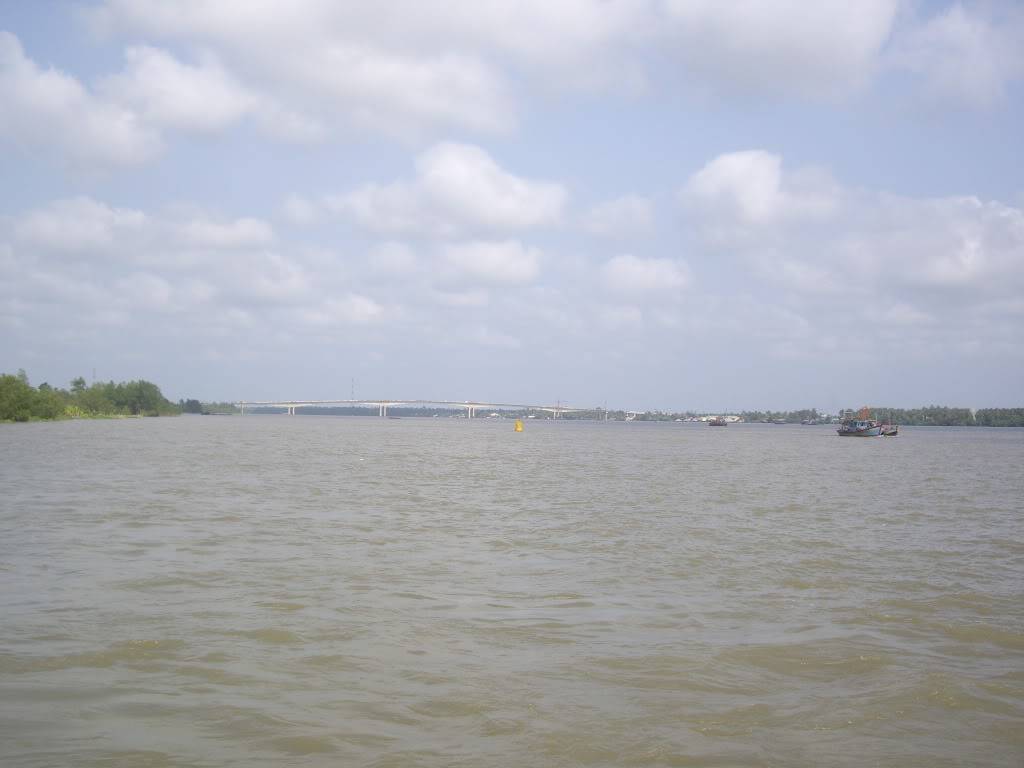 IMGP3545.jpg