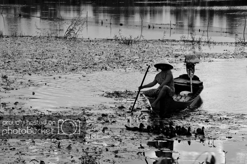 DSC_4391.jpg