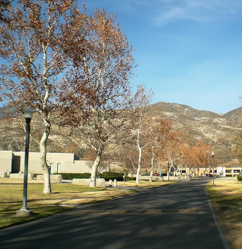 CIMG6815.jpg