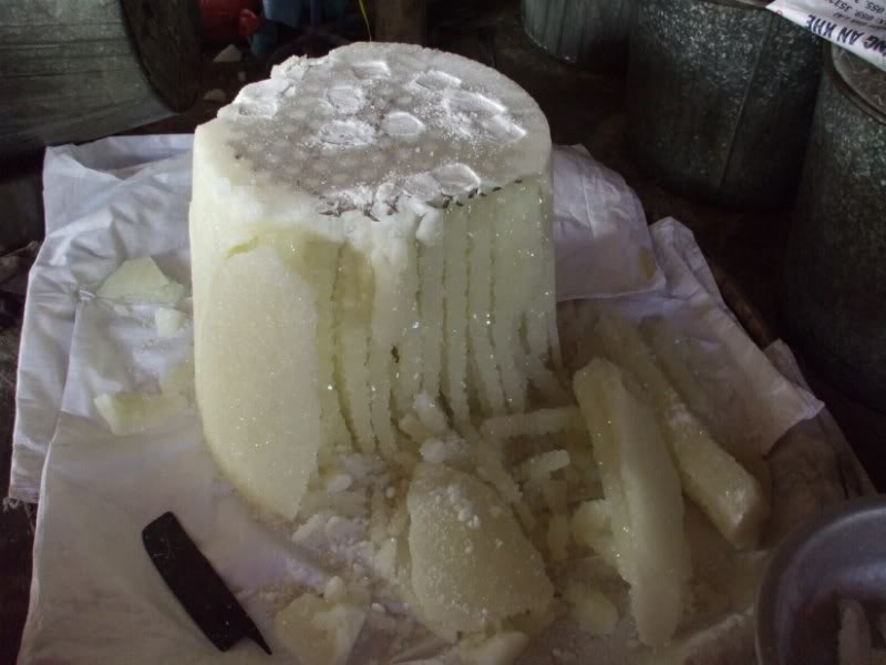 DSCF7294.jpg