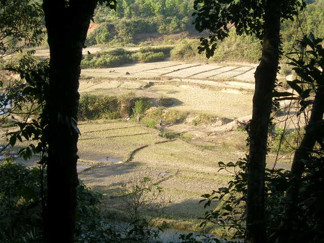 423481fec8882363.jpg