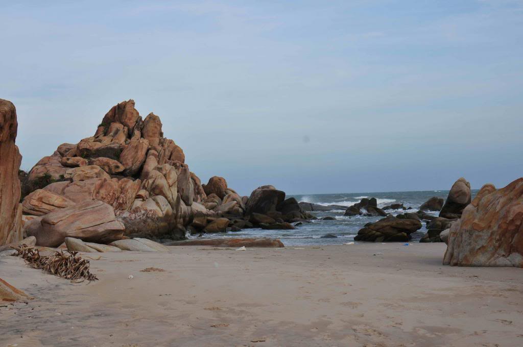 DSC_1420_zpsf4bd6ce9.jpg