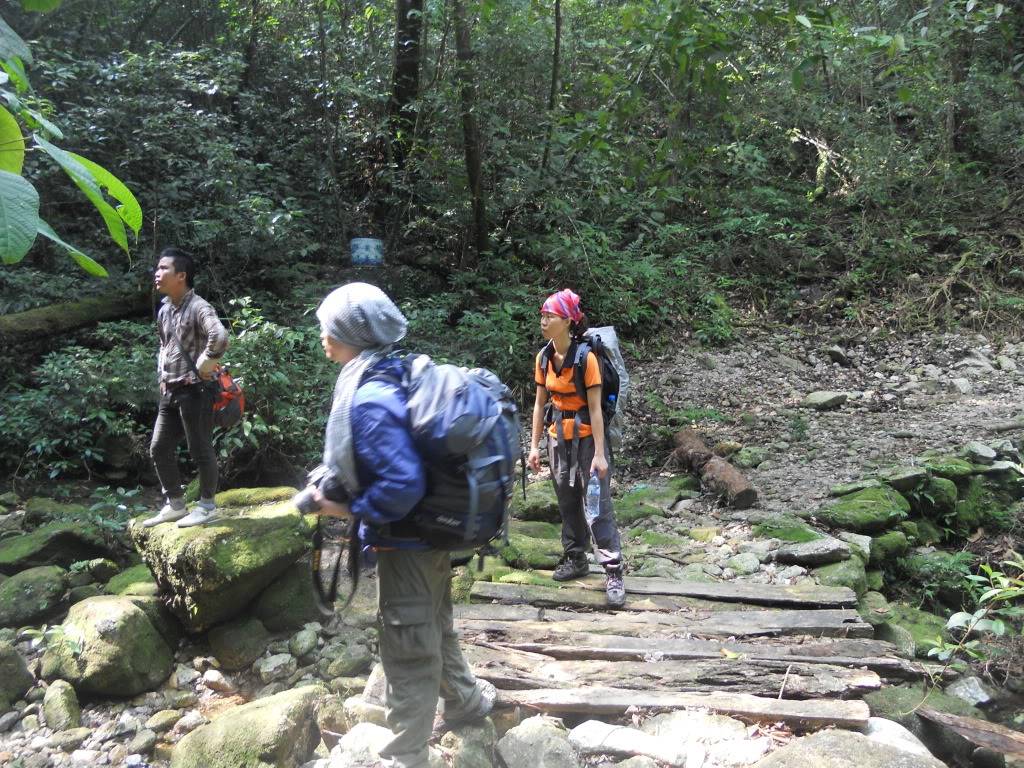 DSCN5203.jpg