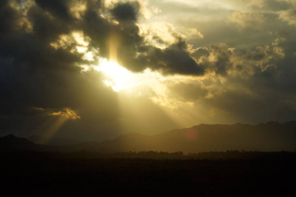 DSC05170.jpg