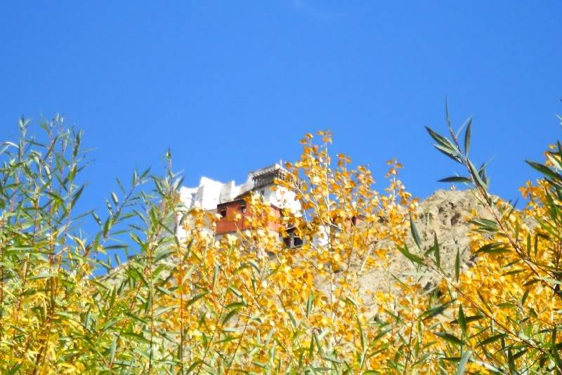 DSCN2952-1.jpg