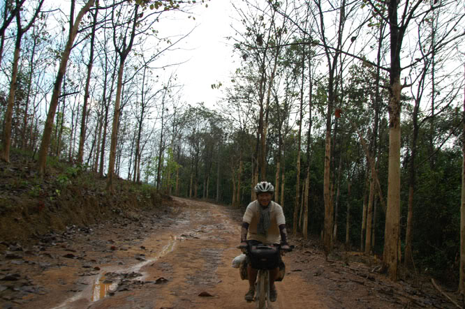 DSC_3941.jpg