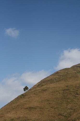 3252298255_fea74cf334_o.jpg