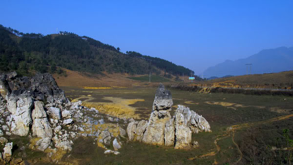 HongNgai2011087.jpg