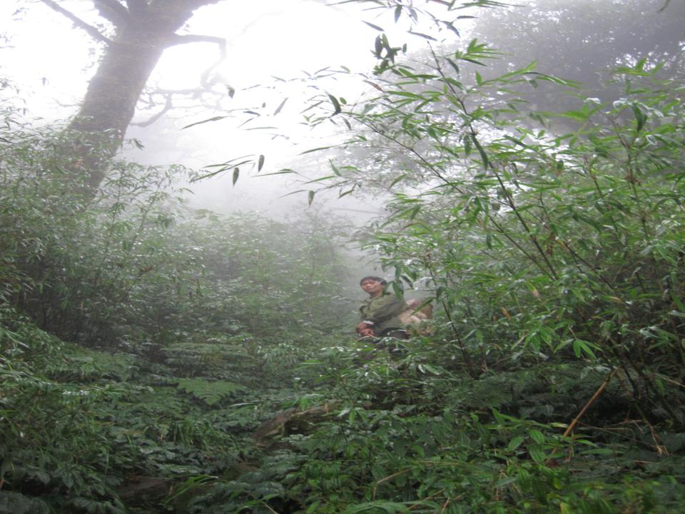 IMG_0907_960x720.jpg