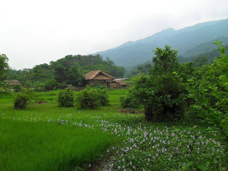 SDC15723.jpg