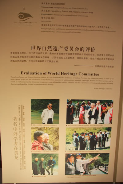 hoanglong19.jpg