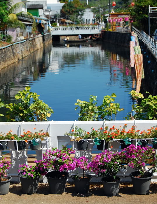 DSC_6574_resize.jpg