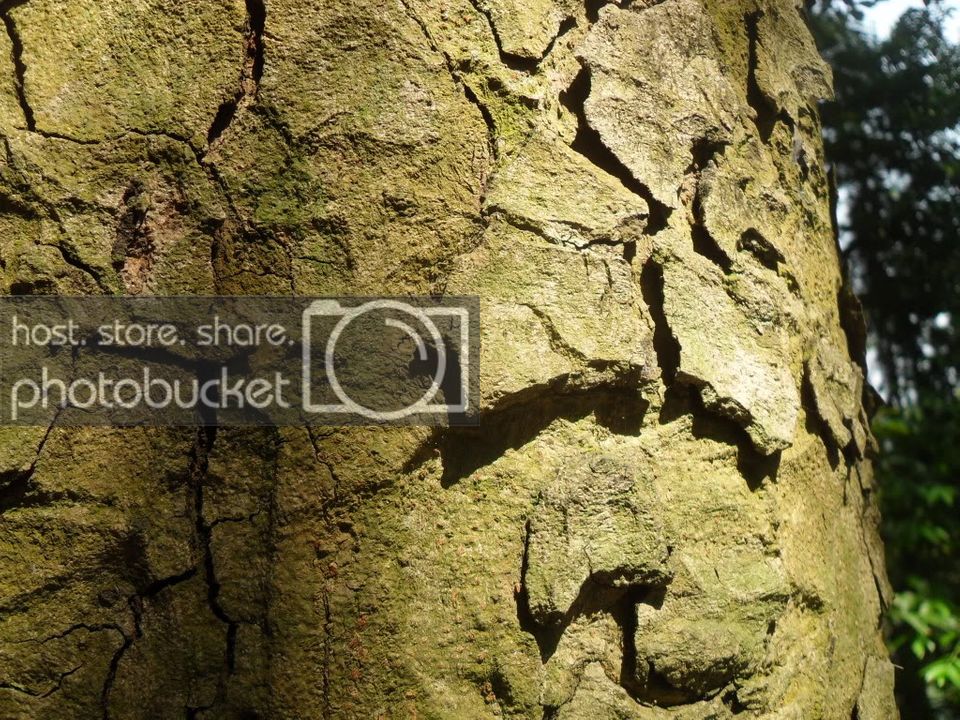 SDC14656.jpg