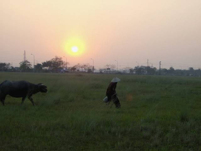 HPIM1006.jpg