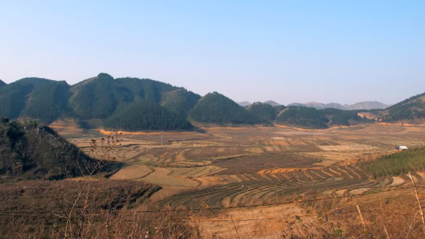 HongNgai2011085.jpg