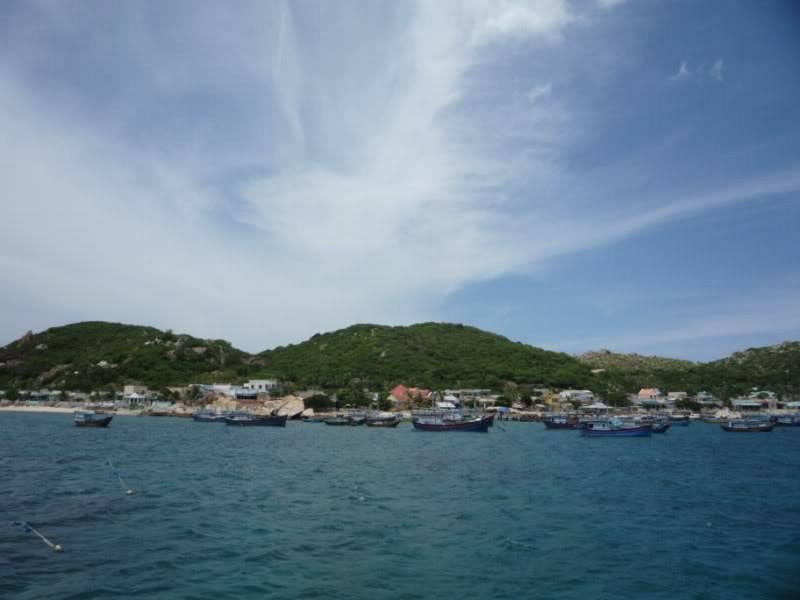 P1010554800x600.jpg