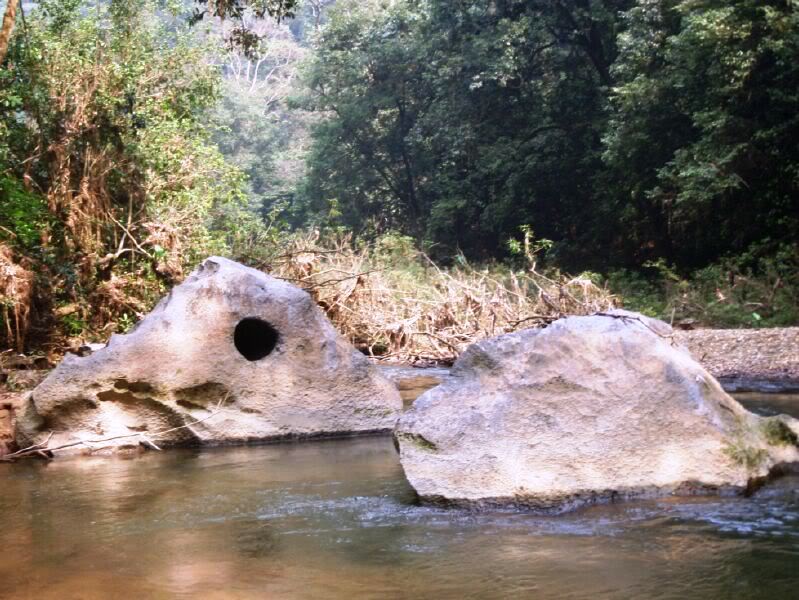 P3010149.jpg