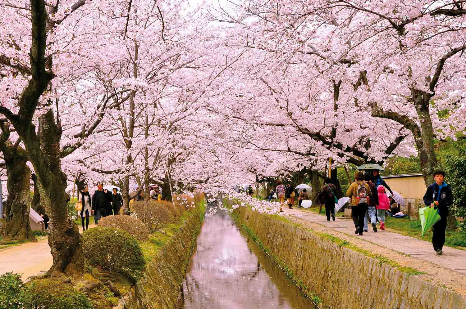 kyoto-during-spring-1.jpg