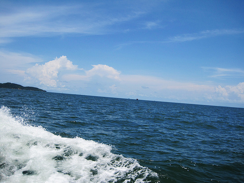 7169989090_d821ce52e5.jpg