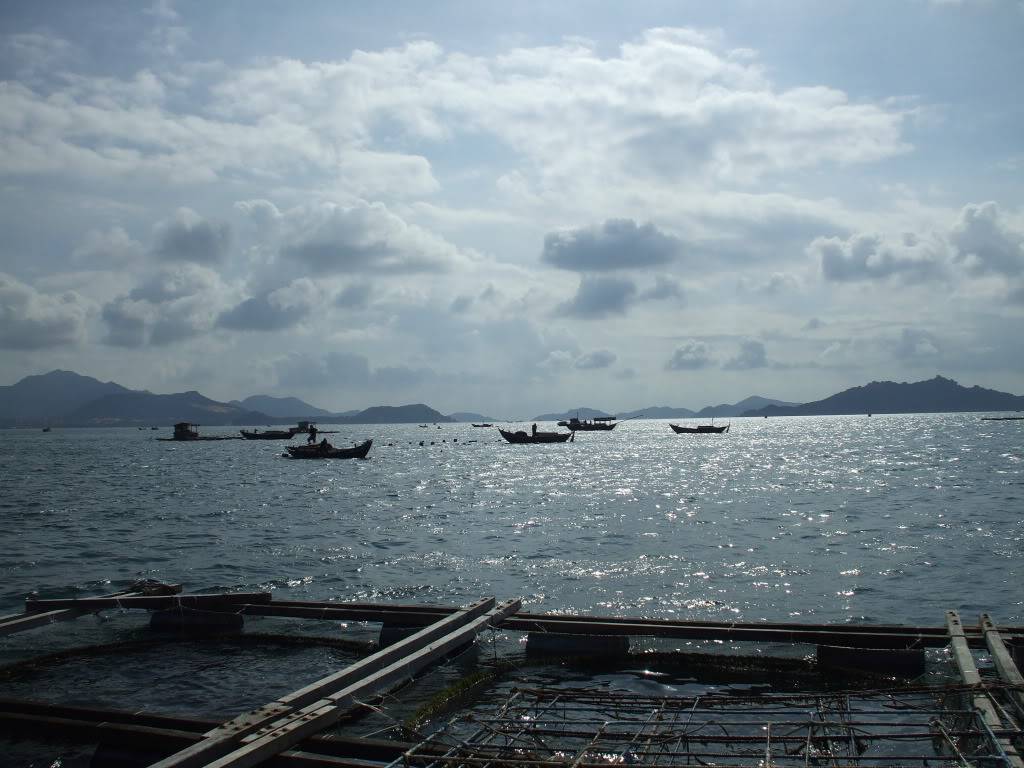 DSCF41571.jpg