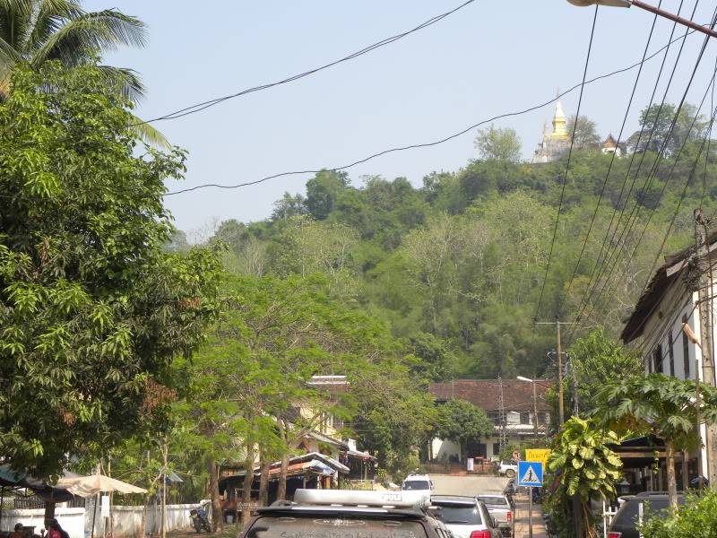 DSCN5511.jpg
