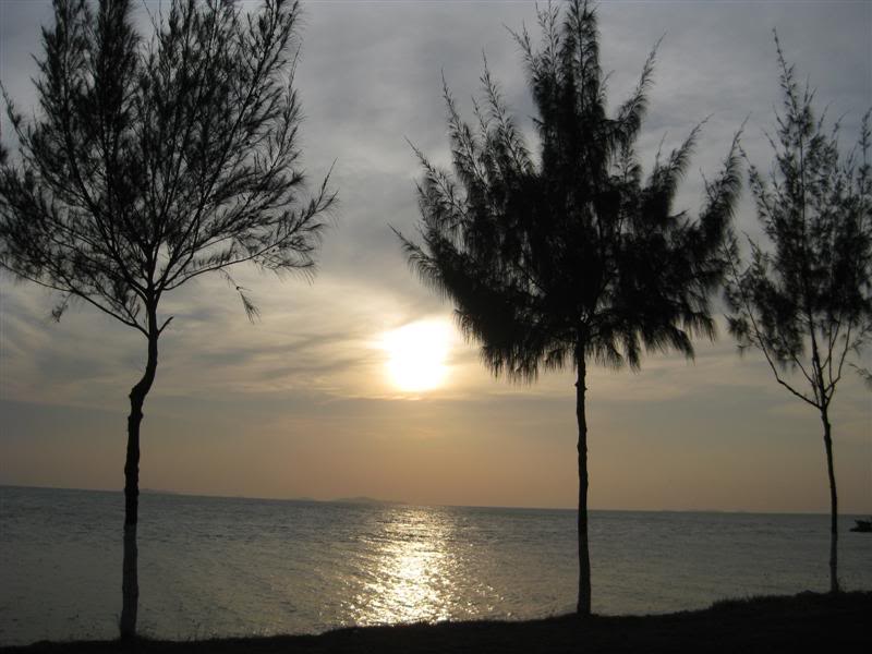 IMG_2460Medium.jpg