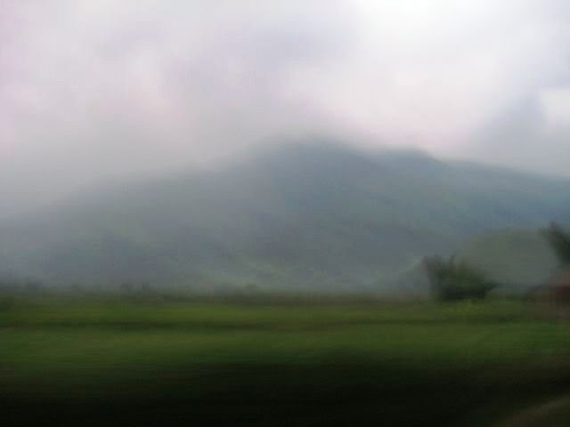 IMG_7665.jpg