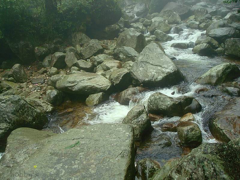 DSC07922-1.jpg