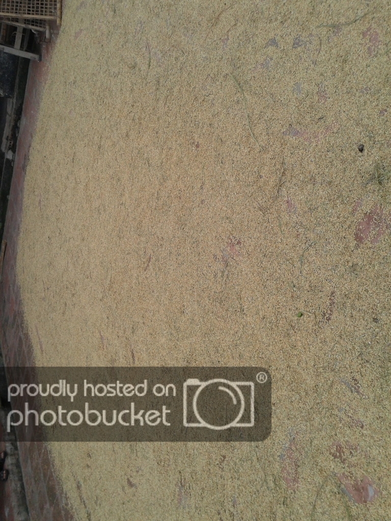 2012-09-14162324.jpg
