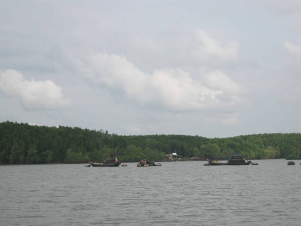 IMG_8544.jpg