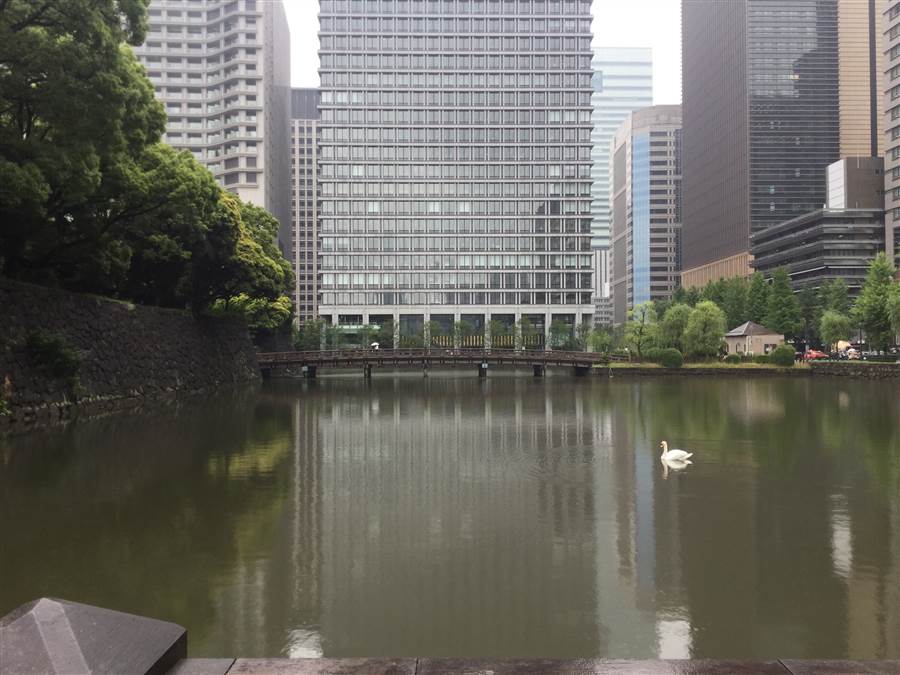 resized_IMG_0309_zpsrgnj9grc.jpg