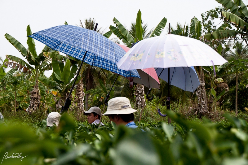 BenTre-7160.jpg