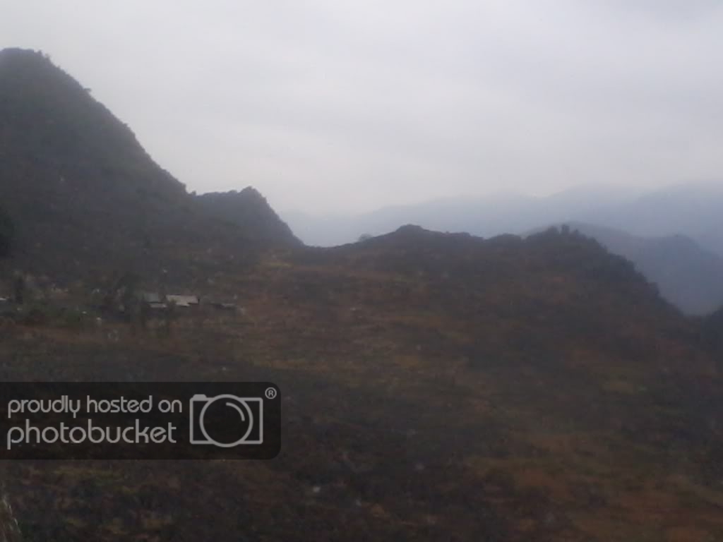 2012-01-25081131.jpg