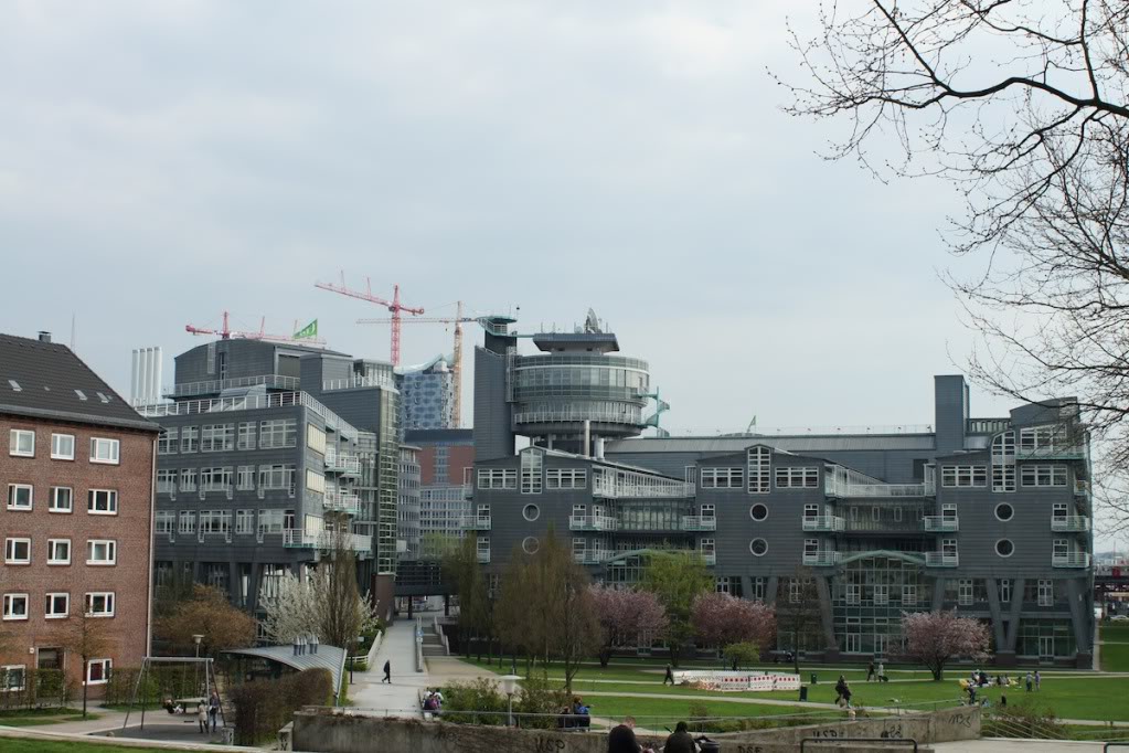 DSC07236.jpg