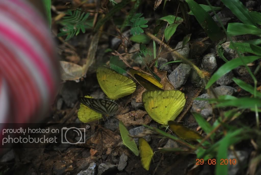 DSC_1574.jpg