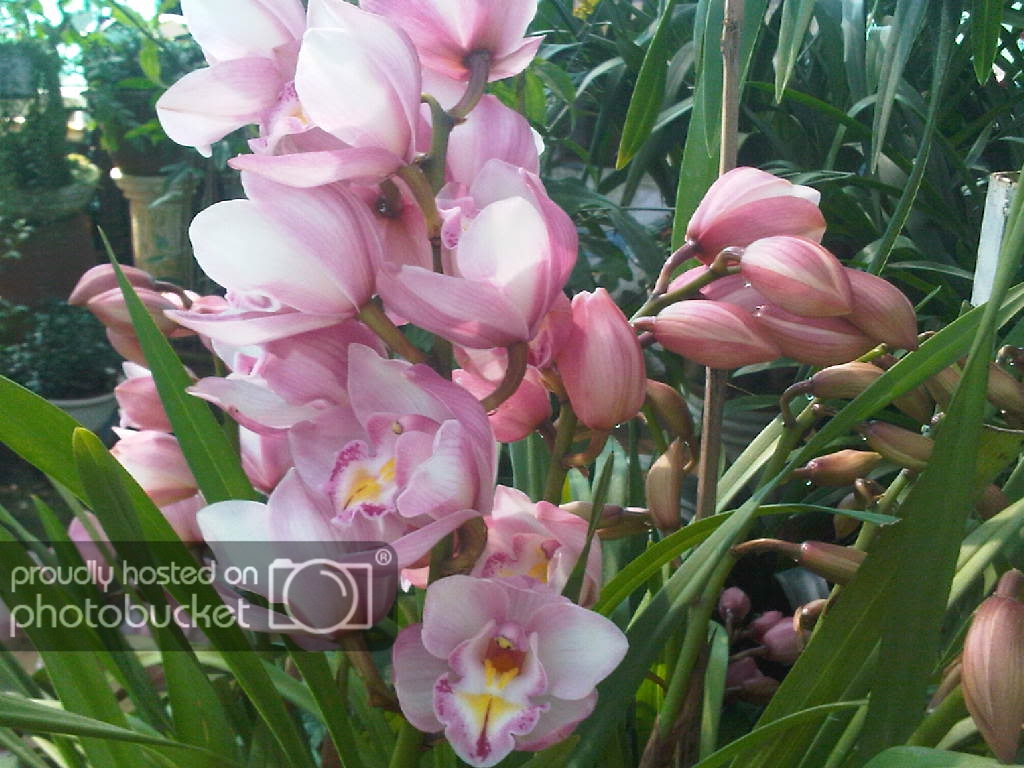 IMG-20111122-00162.jpg