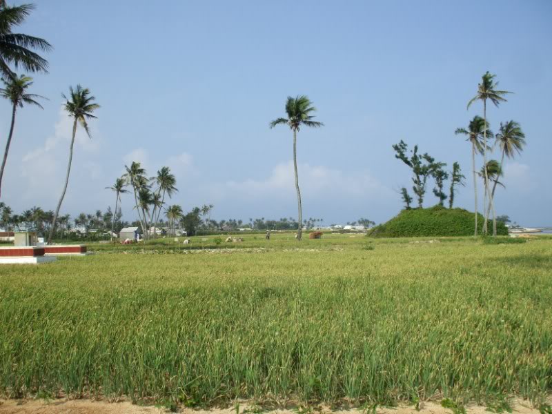 DSCF6783.jpg